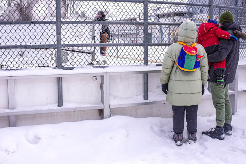 Does A Stiffer Hockey Stick Help Shooting: Expert Advice from a 20-Year Hockey Coach