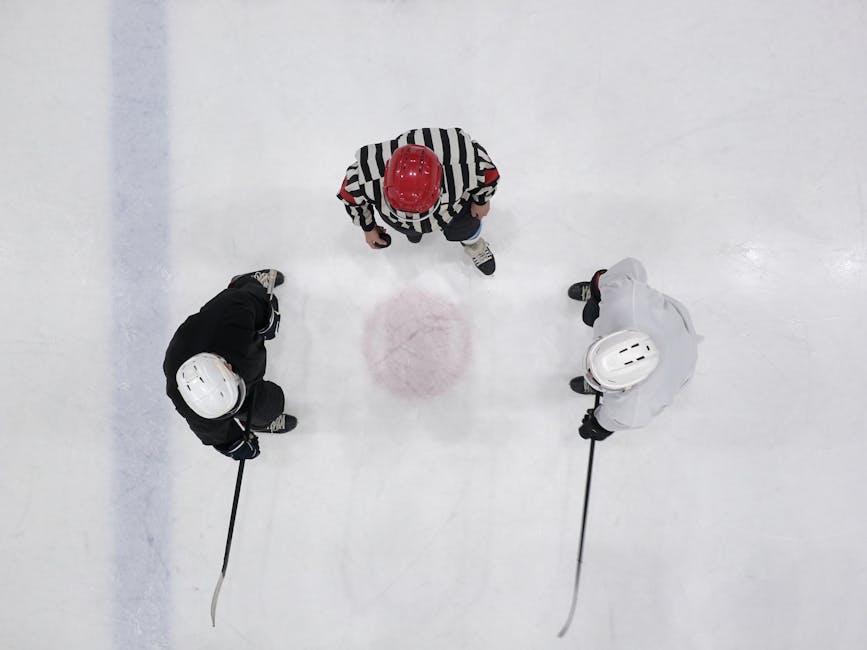 The Carbon-Neutral Rink